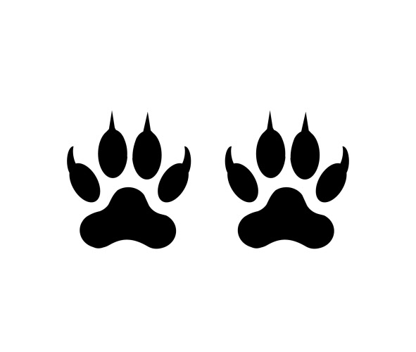 Long Term Indoor R11 - Large Cat Paw Print Floor Stickers / Graphics 279mm  x 300mm (Other Colour Options Available)