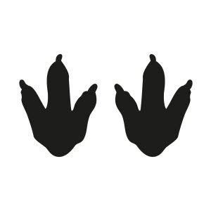 Colour: Black