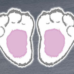 Select a Colour: Grey & Pink