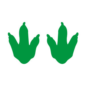 Colour: Green